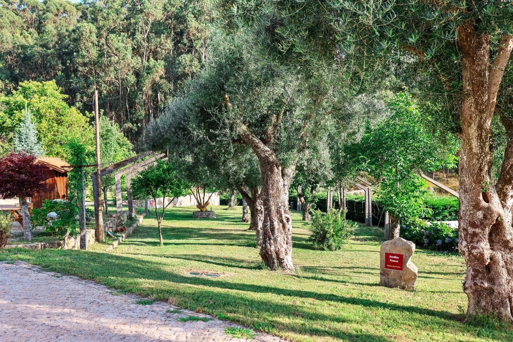 פונטה דה לימה Quinta Dos Amores מראה חיצוני תמונה