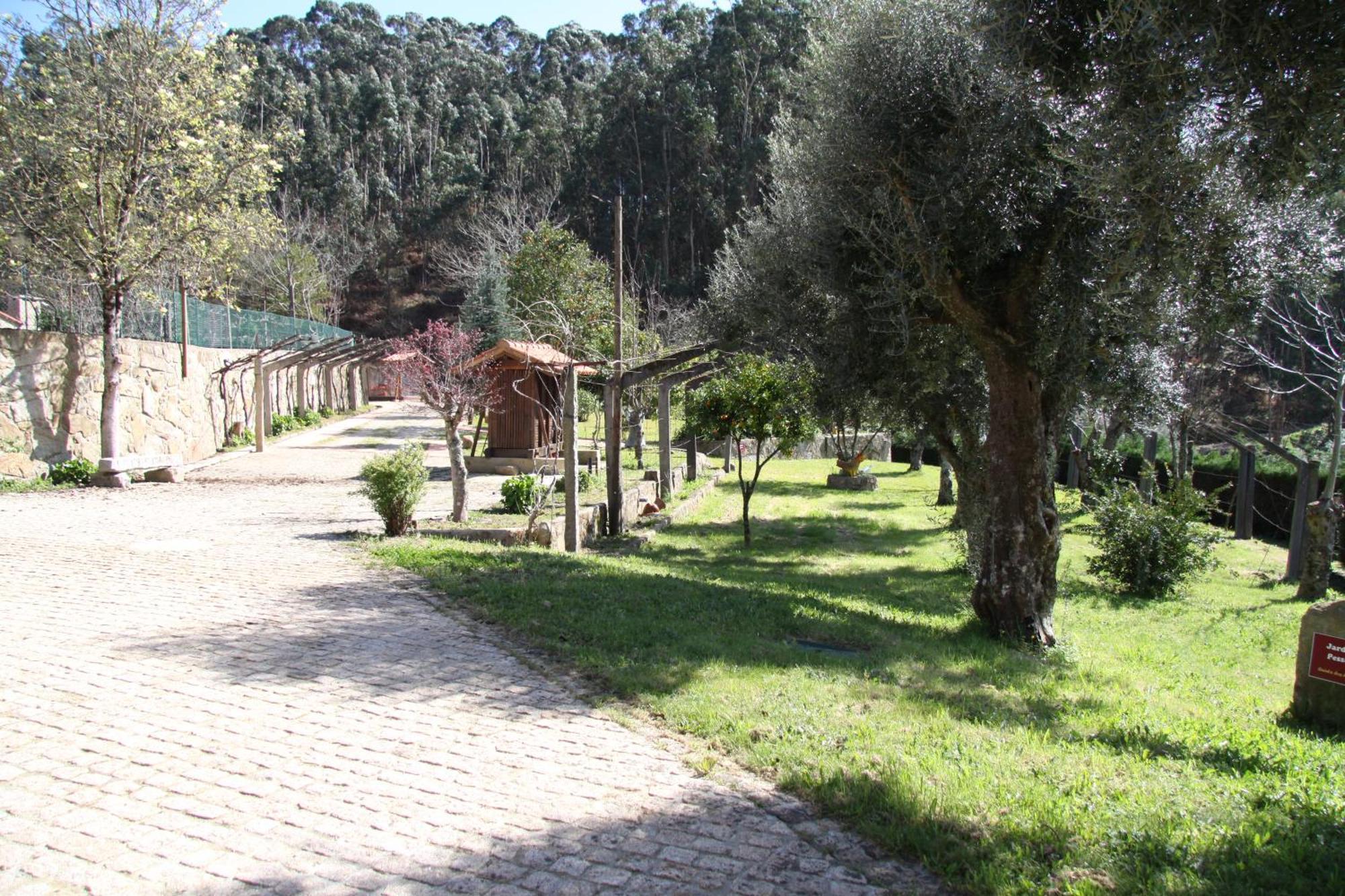 פונטה דה לימה Quinta Dos Amores מראה חיצוני תמונה